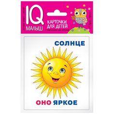 Комплект односторонних карточек. Он, она, они, оно АЙРИС пресс