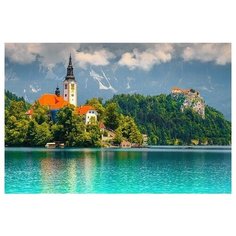 Алмазная мозаика "Прекрасный вид", классическая, 30х40 см Рыжий кот