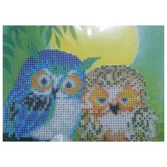 Алмазная мозаика "Myart. Милые совы", 21х25 см (с частичным заполнением, на картоне) Рыжий кот