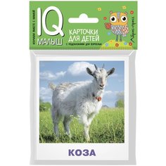 Карточки для детей. Домашние животные АЙРИС пресс