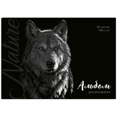 Альбом для рисования "Волк", A4, 40 листов Феникс