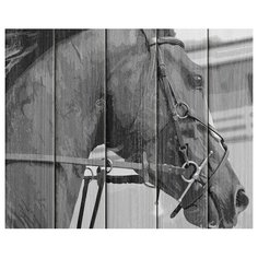 Набор для рисования по номерам по дереву "Лошадь в поводьях" (40x50 см) Flamingo