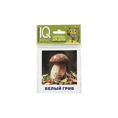 Грибы наших лесов. Набор карточек для детей АЙРИС пресс
