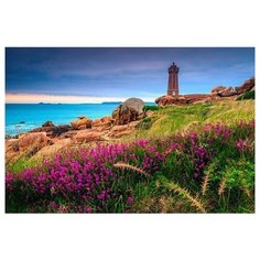 Раскраска по номерам на картоне "Красивый маяк", формат А3 Рыжий кот