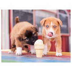 Раскраска по номерам на картоне "Щенята и мороженое", формат А3 Рыжий кот