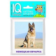 Набор карточек для детей. Породы собак АЙРИС пресс
