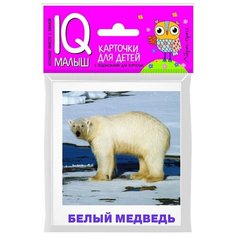 Набор карточек для детей. Животные полярных широт АЙРИС пресс