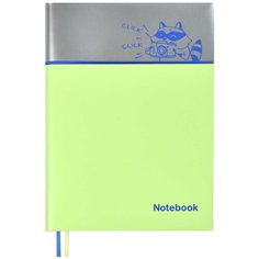 Записная книжка "Енот", A6+, 96 листов Феникс