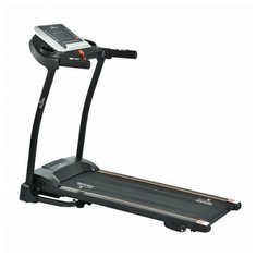 Беговая дорожка электрическая ROYAL Fitness RF-7