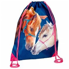 Spiegelburg Мешок для обуви Pferdefreunde 14191, синий/розовый