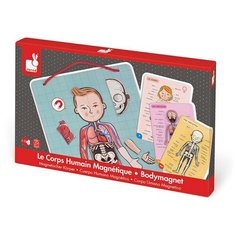 Настольная игра Janod Тело человека