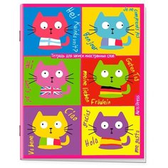 Тетрадь для записи иностранных слов (котята) АЙРИС пресс