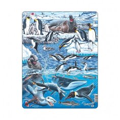 Рамка-вкладыш Larsen Животные Антарктики (FH48), 66 дет.