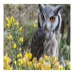 Алмазная мозаика "Лесная сова", 30х40 см (с подрамником, с полным заполнением) Рыжий кот