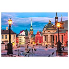 Алмазная мозаика, блестящая "Красивый город", 30х40 см (без подрамника, с полным заполнением) Рыжий кот