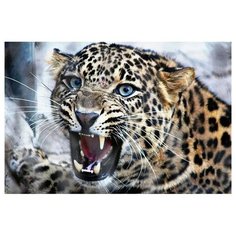Алмазная мозаика, блестящая "Грозный леопард", 30х40 см (без подрамника, с полным заполнением) Рыжий кот