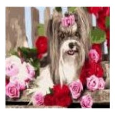 Алмазная мозаика "Красивая собачка", 30х40 см (с частичным заполнением, на картоне) Рыжий кот