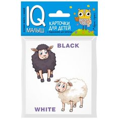 Противоположности. Карточки для детей. Английский язык АЙРИС пресс