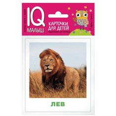 Комплект двусторонних карточек. Животные жарких стран АЙРИС пресс