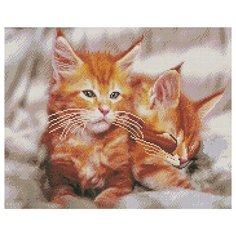Алмазная мозаика, классическая "Рыжий котёнок", 40х50 см (с подрамником, с полным заполнением)