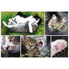 Пазл Trefl 1500 деталей: Кошки- коллаж
