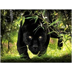 Алмазная мозаика с подрамником "Крадущаяся пантера", 29 цветов, 30x40 см Рыжий кот