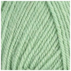 Пряжа из Троицка "Подмосковная GOLD", 250 метров, 5 мотков по 100 грамм, цвет: 1120 мелисса Троицкая камвольная фабрика