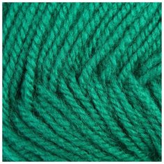 Пряжа Пехорка "Детская новинка", 200 метров, 10 мотков по 50 грамм, цвет: 742 бильярд