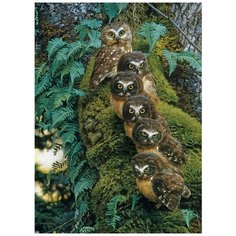 Пазлы 1000 деталей "Совиное дерево Cobble Hill