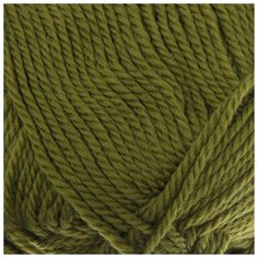 Пряжа Пехорка "Мериносовая", 200 метров, 10 мотков по 100 грамм, цвет: 252 зеленый горошек