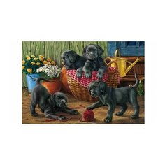 Холст с красками "Палитра. Рисование по номерам. Чёрные лабрадоры", 40х50 см Рыжий кот