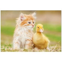 Пазл Educa 500 деталей: Очаровательные друзья