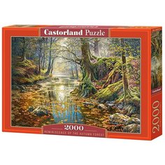 Пазл Castorland 2000 деталей: Осенний лес