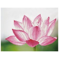 Кристальная мозаика (алмазная вышивка) Фрея "Лотос", арт. ALV-3, 52x39,5 см