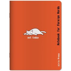 Тетрадь для записи иностранных слов (Белая кошка) АЙРИС пресс