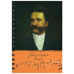 Скетчбук "Рисуй и слушай! Штраус Попурри