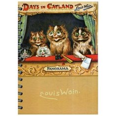 Скетчбук Уэйн. Дни в Кэтланде Попурри