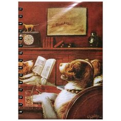 Скетчбук Кулидж. В гостях у больного друга Попурри