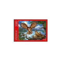 Пазлы "Совы", 1000 элементов Рыжий кот