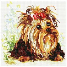 Алмазная мозаика Белоснежка: Йорик на прогулке