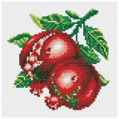 Алмазная мозаика Белоснежка: Спелый гранат