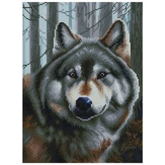 Алмазная мозаика Белоснежка: Волк