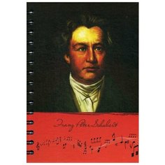 Скетчбук "Рисуй и слушай! Шуберт Попурри