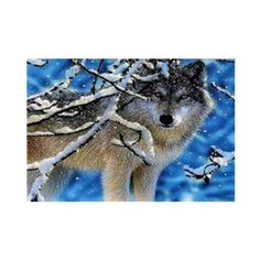 Набор для вышивания крестиком "Волк в зимнем лесу", 30x40 см Рыжий кот