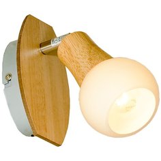 Спот серый, никель E14 LGO LSP-0119 Lussole