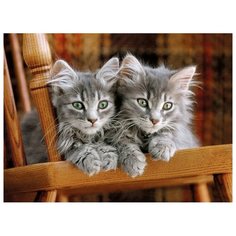 Пазл Clementoni 500 деталей: Котята на стуле