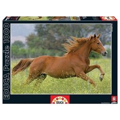 Пазл Educa Пробежка на лугу (15522), 1000 дет.