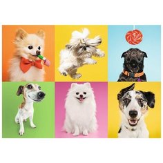 Пазл Trefl 500 деталей: Собаки