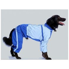 Комбинезон для собак породы бассенджи (мальчик) "Тузик" теплый