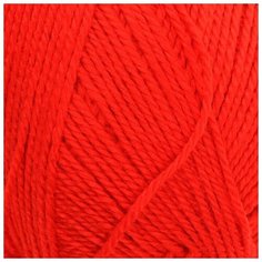 Пряжа Пехорка "Акрил", 300 метров, 5 мотков по 100 грамм, цвет: 244 алый